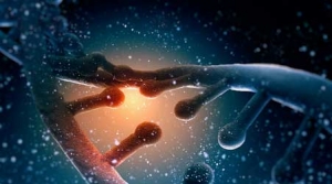 What Makes Mulkern Associates Unique?